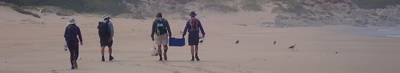 SPE22 beach